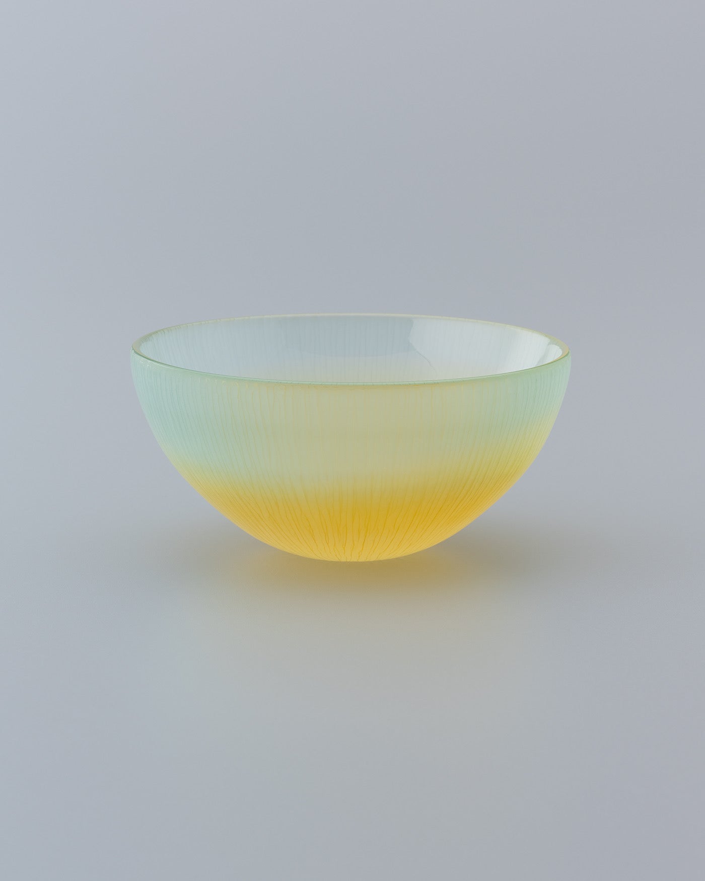 Food & Water bowl 01