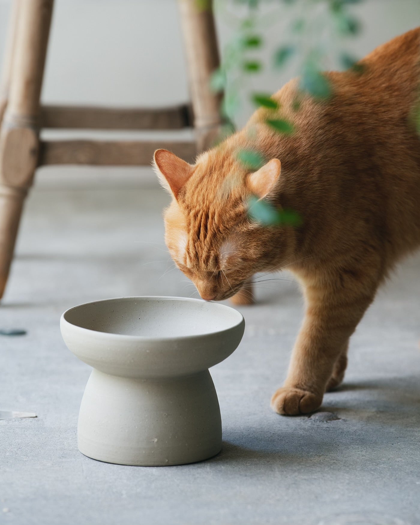 森本 仁 Hitoshi Morimoto｜Wan KOGEI ｜小さな家族のための工芸 – wan